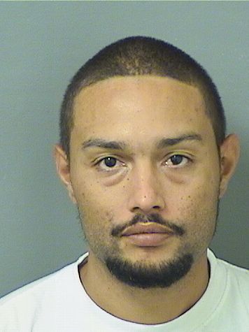  JAMIR R GARVIN Resultados de la busqueda para Palm Beach County Florida para  JAMIR R GARVIN