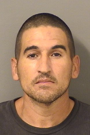  STEPHAN DANIEL GIAMATT Resultados de la busqueda para Palm Beach County Florida para  STEPHAN DANIEL GIAMATT