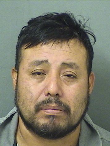  NOE ARMINO LOPEZBERNARDO Photo For  NOE ARMINO LOPEZBERNARDO