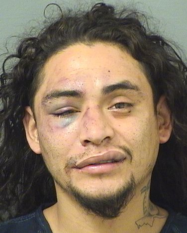  ERIK STEVEN HENRIQUEZ Resultados de la busqueda para Palm Beach County Florida para  ERIK STEVEN HENRIQUEZ