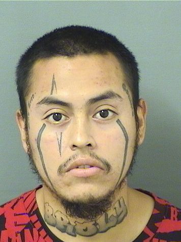  FAUSTO WIAU Photo For  FAUSTO WIAU