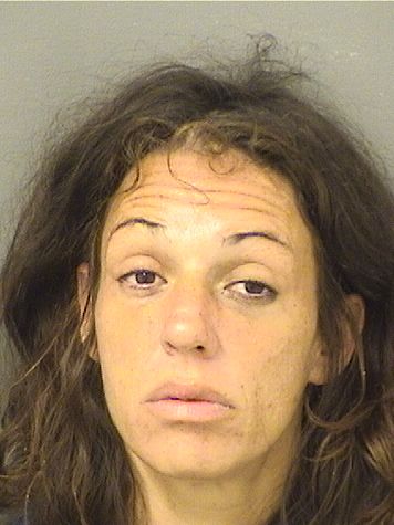  TARA MARIA HOGARTY Photo For  TARA MARIA HOGARTY