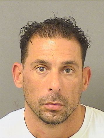  DANGELO M ANTHONY Results from Palm Beach County Florida for  DANGELO M ANTHONY