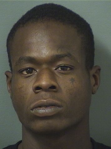  GREGORY EUGENE J MICKLES Results from Palm Beach County Florida for  GREGORY EUGENE J MICKLES