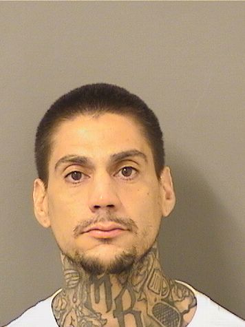  MARLON GONCALVES RODRIGUES Results from Palm Beach County Florida for  MARLON GONCALVES RODRIGUES