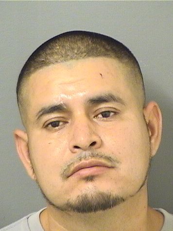 JOSE COLLAZOGUTIERREZ Photos For  JOSE COLLAZOGUTIERREZ  JOSE COLLAZOGUTIERREZ Photo For  JOSE COLLAZOGUTIERREZ