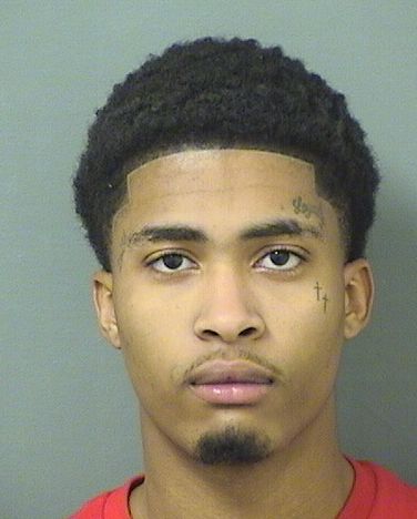  NICOLAS NEWTON Results from Palm Beach County Florida for  NICOLAS NEWTON