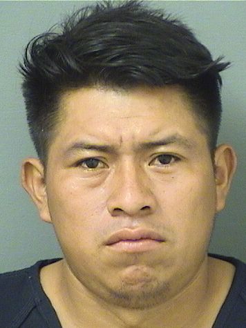  GUMERCINDO FEDERICOREYNOSO TOMAS Results from Palm Beach County Florida for  GUMERCINDO FEDERICOREYNOSO TOMAS