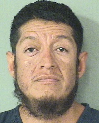  SAUL ZAVALA ROJAS Results from Palm Beach County Florida for  SAUL ZAVALA ROJAS