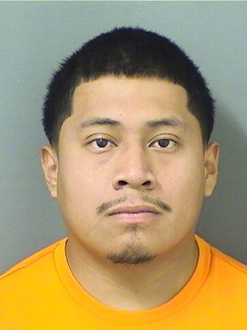  ELIAN SONTAY Photo For  ELIAN SONTAY