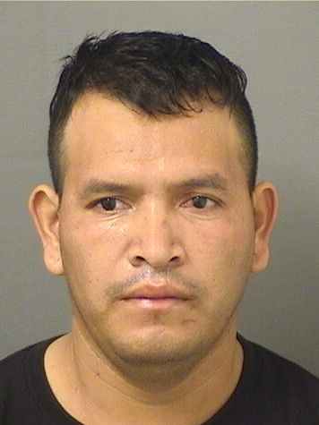  JOSE ENRIQUE PAR Results from Palm Beach County Florida for  JOSE ENRIQUE PAR