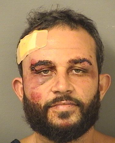  JUNIOR BOUCHER Results from Palm Beach County Florida for  JUNIOR BOUCHER