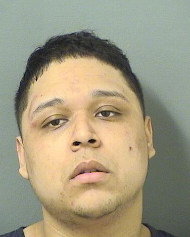  CRISTIAN MARTINEZGONZALEZ Resultados de la busqueda para Palm Beach County Florida para  CRISTIAN MARTINEZGONZALEZ