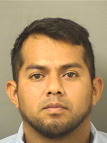  SANTOS CASTILLOGUZMAN Resultados de la busqueda para Palm Beach County Florida para  SANTOS CASTILLOGUZMAN