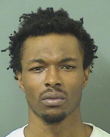  DEQUAN ROMELL WILLIAMS Results from Palm Beach County Florida for  DEQUAN ROMELL WILLIAMS