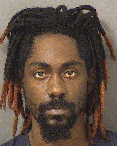  TEVIN MICHAEL WALLACE Results from Palm Beach County Florida for  TEVIN MICHAEL WALLACE