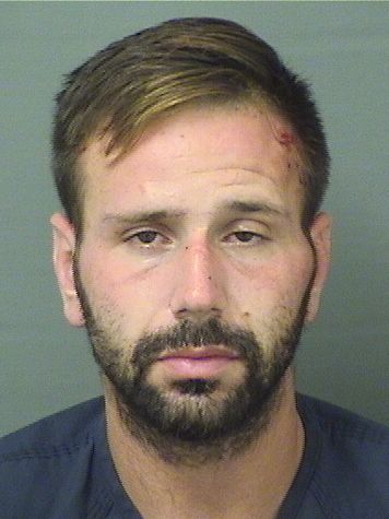  DOMINIC JOSEPH CIRELLO Results from Palm Beach County Florida for  DOMINIC JOSEPH CIRELLO