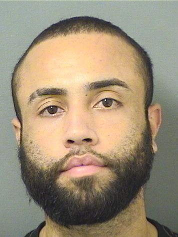  ALEXANDER MONELL Results from Palm Beach County Florida for  ALEXANDER MONELL