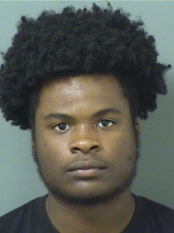  DELOUIS DANTINOR Resultados de la busqueda para Palm Beach County Florida para  DELOUIS DANTINOR