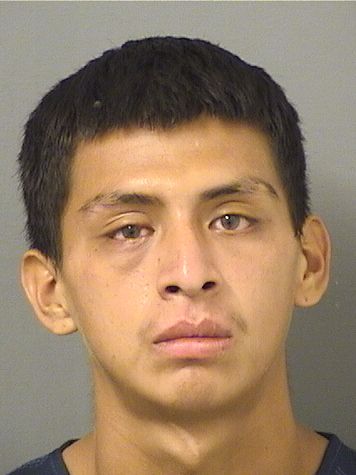  DAVID SILVESTREMATIAS Resultados de la busqueda para Palm Beach County Florida para  DAVID SILVESTREMATIAS