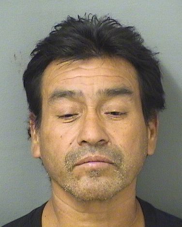  JOSE DIAZ Results from Palm Beach County Florida for  JOSE DIAZ