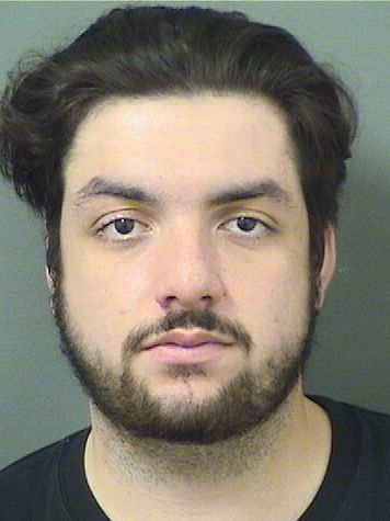  NICHOLAS J MARTENS Results from Palm Beach County Florida for  NICHOLAS J MARTENS