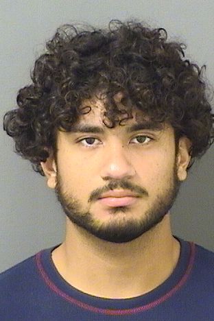  ANDY SADITH MACIASMARTINEZ Results from Palm Beach County Florida for  ANDY SADITH MACIASMARTINEZ