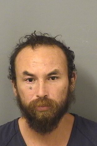  JERARD TIGER Resultados de la busqueda para Palm Beach County Florida para  JERARD TIGER