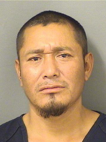 JOSE GARCIA Results from Palm Beach County Florida for JOSE GARCIA JOSE GARCIA Results from Palm Beach County Florida for JOSE GARCIA
