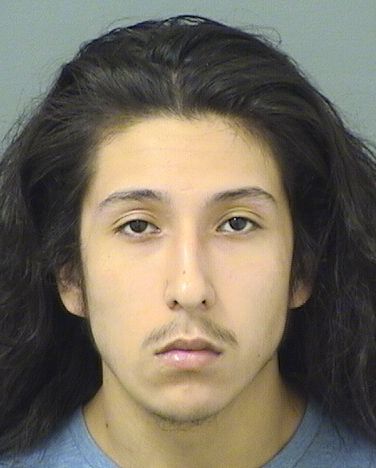  CHRISTIAN H VAZQUEZ Results from Palm Beach County Florida for  CHRISTIAN H VAZQUEZ