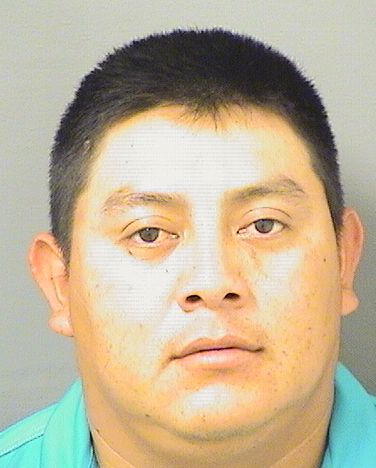  GERARDO XOLTUX Photo For  GERARDO XOLTUX