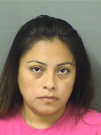  CHRISTINA ANDRES Resultados de la busqueda para Palm Beach County Florida para  CHRISTINA ANDRES