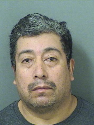 FELIX MORALES Results from Palm Beach County Florida for FELIX MORALES FELIX MORALES Results from Palm Beach County Florida for FELIX MORALES