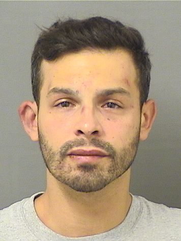  NICHOLAS VINCENT DELGIUDICE Results from Palm Beach County Florida for  NICHOLAS VINCENT DELGIUDICE