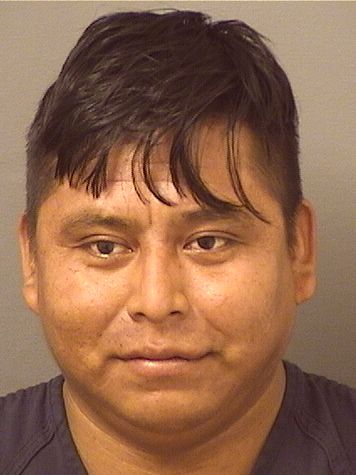  TOMAS PEDRO Results from Palm Beach County Florida for  TOMAS PEDRO