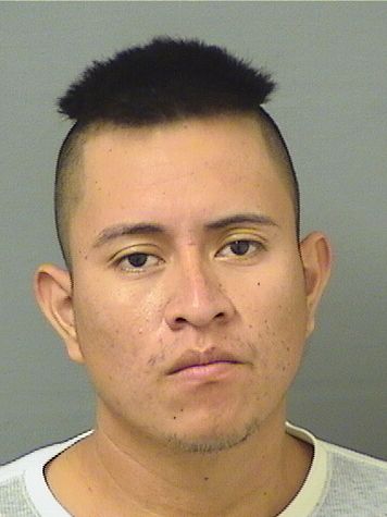  MANUEL D BRAVOMORALES Results from Palm Beach County Florida for  MANUEL D BRAVOMORALES