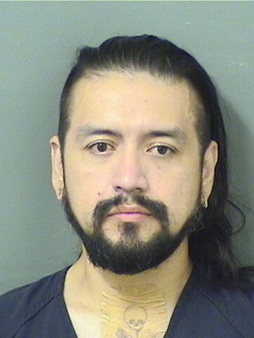  MARLON DAVID DELEONHERNANDEZ Results from Palm Beach County Florida for  MARLON DAVID DELEONHERNANDEZ