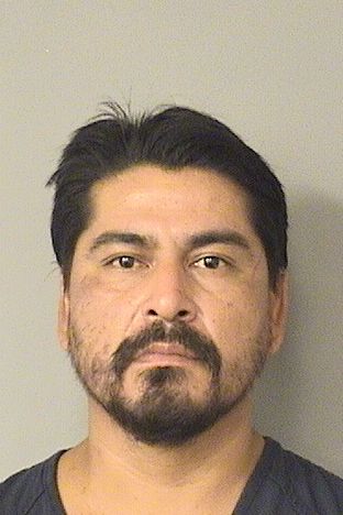  CARLOS MONTOYATORRES Photo For  CARLOS MONTOYATORRES