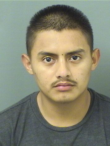  ESTUARDO ALEXIS GONZALEZCRISTALEZ Resultados de la busqueda para Palm Beach County Florida para  ESTUARDO ALEXIS GONZALEZCRISTALEZ