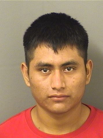 NERY GABRIELRAMOS Results from Palm Beach County Florida for NERY GABRIELRAMOS NERY GABRIELRAMOS Results from Palm Beach County Florida for NERY GABRIELRAMOS