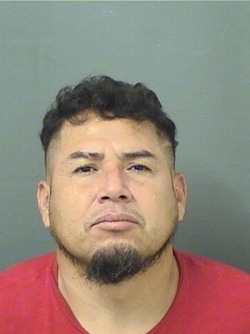  MARLON GAITAN MENDEZDELEON Results from Palm Beach County Florida for  MARLON GAITAN MENDEZDELEON