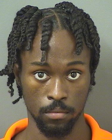  EARL V Jr HAMILTON Results from Palm Beach County Florida for  EARL V Jr HAMILTON