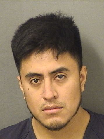  ROMALDO VASQUEZVASQUEZ Resultados de la busqueda para Palm Beach County Florida para  ROMALDO VASQUEZVASQUEZ