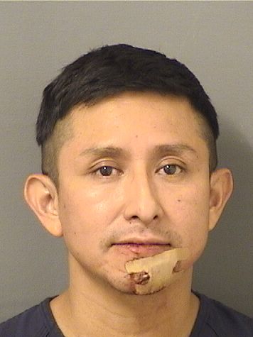  ADRIAN GARCIACARBALLO Results from Palm Beach County Florida for  ADRIAN GARCIACARBALLO