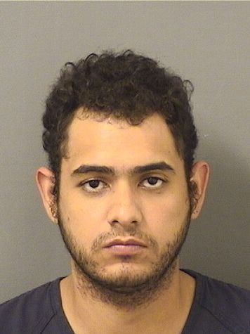  FRANCISCO HIKARO PALITOTMOROROJUNIO Results from Palm Beach County Florida for  FRANCISCO HIKARO PALITOTMOROROJUNIO