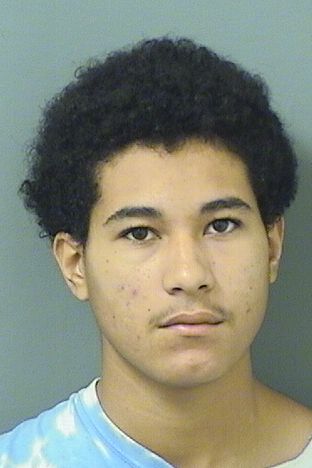  DAYTON MULLINS Resultados de la busqueda para Palm Beach County Florida para  DAYTON MULLINS