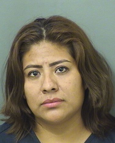  NORMA PATRICIA PEREZCAIXBA Results from Palm Beach County Florida for  NORMA PATRICIA PEREZCAIXBA