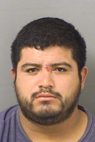  LUCAS GUTIERREZSOLIS Results from Palm Beach County Florida for  LUCAS GUTIERREZSOLIS