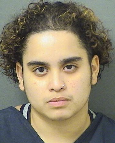  ELIANGELIS ROJAS Results from Palm Beach County Florida for  ELIANGELIS ROJAS