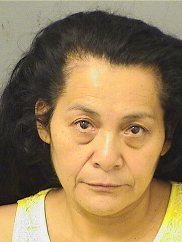  PAULINA MARINA MOTA Results from Palm Beach County Florida for  PAULINA MARINA MOTA